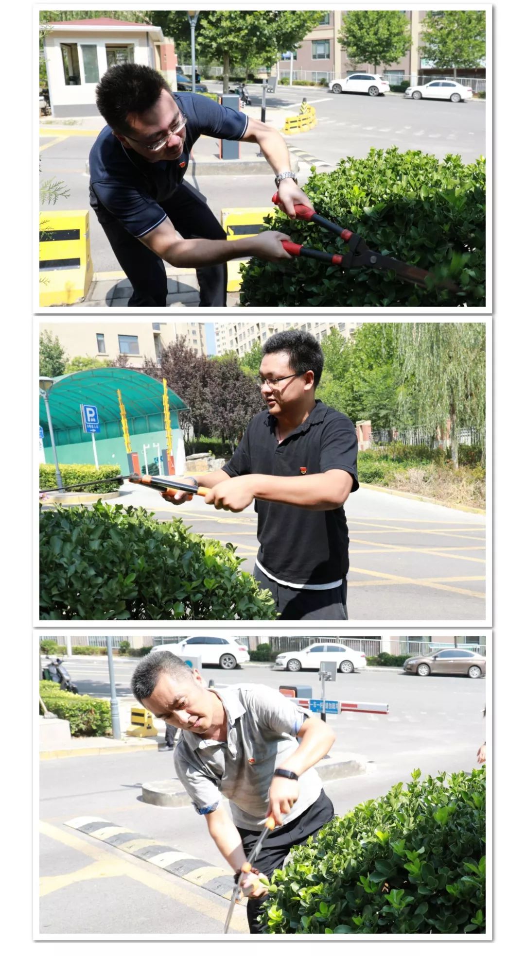 種樹(shù)苗3.jpg 種樹(shù)苗3.jpg