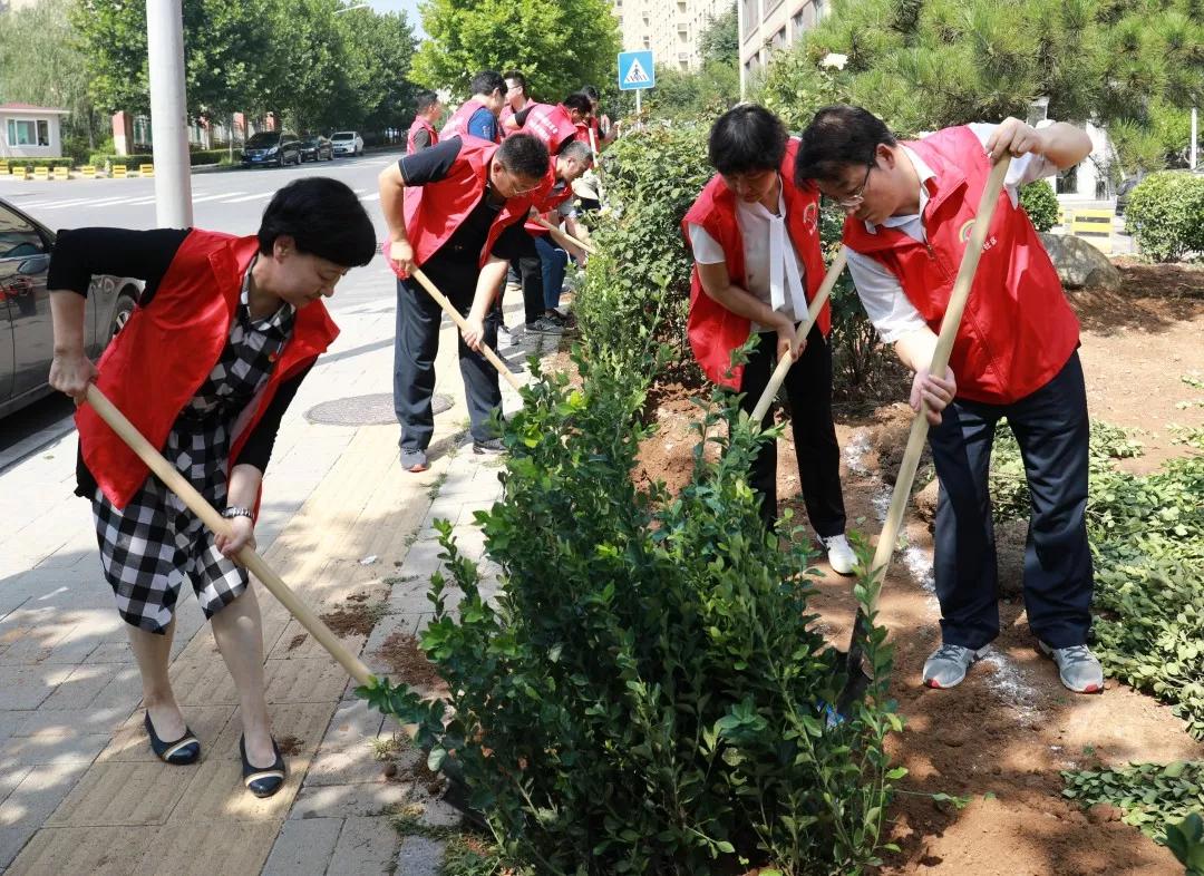 種樹(shù)苗2.jpg 種樹(shù)苗2.jpg