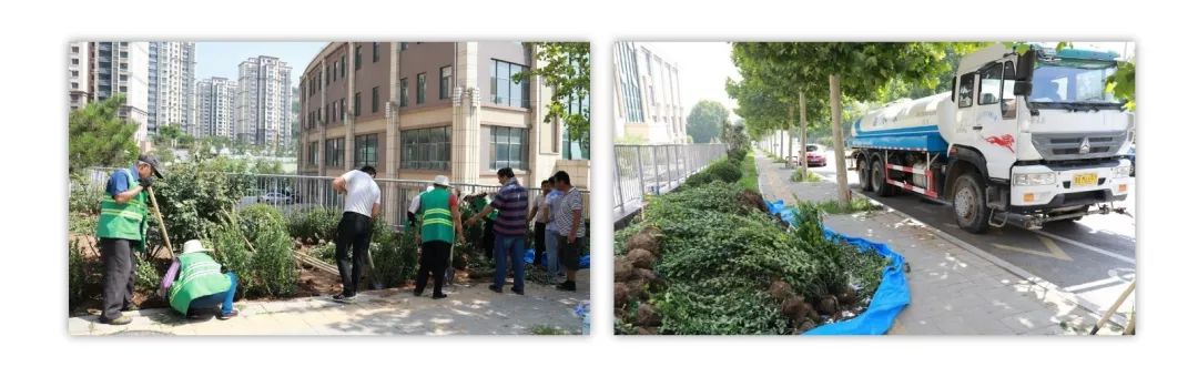 種樹(shù)苗4.jpg 種樹(shù)苗4.jpg