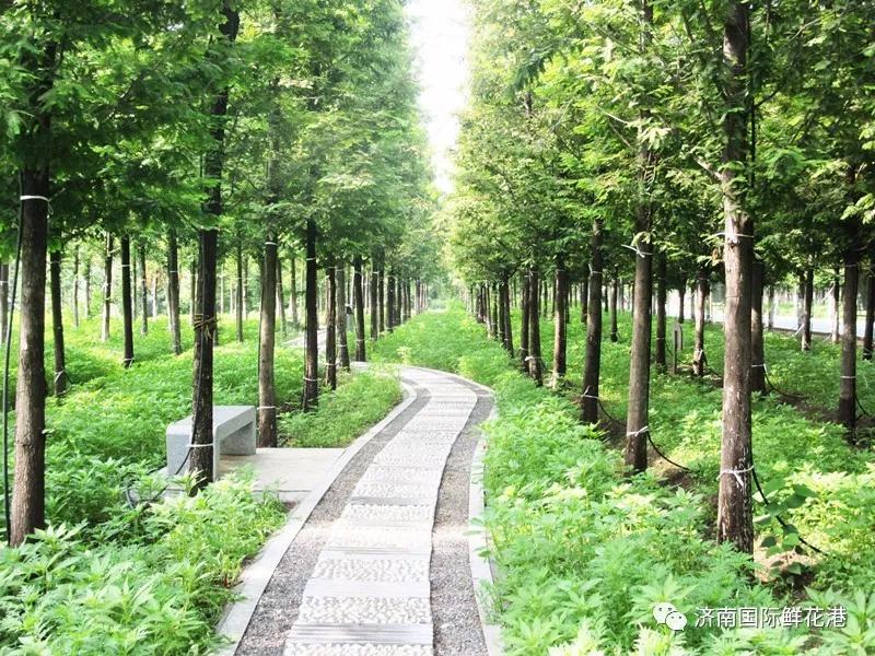 父親節2..jpg 父親節2..jpg