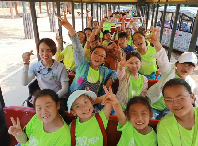 野生1.png 野生1.png