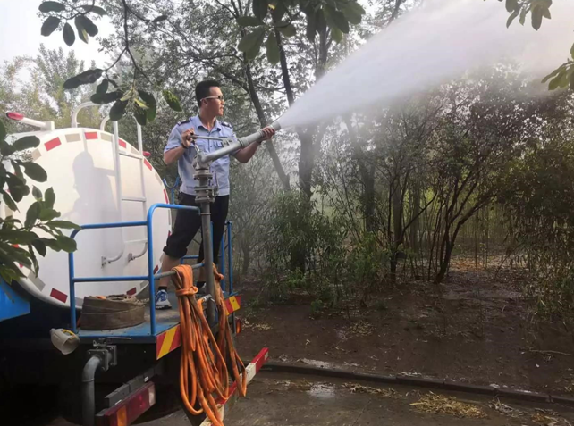 野生2.png 野生2.png