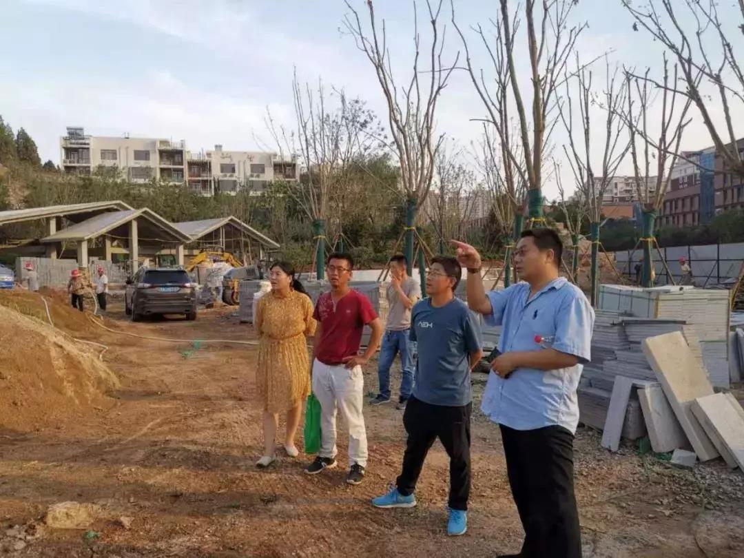 百合3.jpg 百合3.jpg