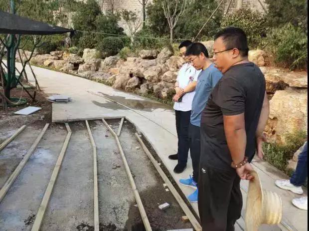 百合4.jpg 百合4.jpg