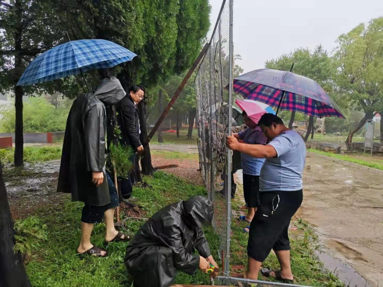 臺風(fēng)5.jpg 臺風(fēng)5.jpg