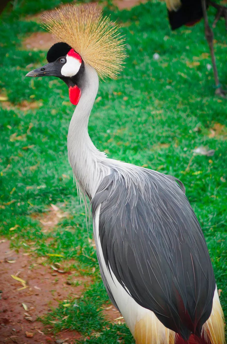 aHR0cHM6Ly9tbWJpei5xbG9nby5jbi9tbWJpel9qcGcvOGljb0tpYlFvaGUyU3U5RHNRSlJWR1RMb2xCSlR3cDN5OWJOY3RVRllpYUJ5cHlKNDBjQ2NOaWFYS2x4dGZ6MUwya3ZCNDRPNklVQlBSS2RCYlpabkRNbzJ3LzY0MA==.jpeg aHR0cHM6Ly9tbWJpei5xbG9nby5jbi9tbWJpel9qcGcvOGljb0tpYlFvaGUyU3U5RHNRSlJWR1RMb2xCSlR3cDN5OWJOY3RVRllpYUJ5cHlKNDBjQ2NOaWFYS2x4dGZ6MUwya3ZCNDRPNklVQlBSS2RCYlpabkRNbzJ3LzY0MA==.jpeg